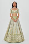 Aisha Rao_Green Tissue Embroidered Sequin Ziba 16 Kali Bridal Lehenga Set  _at_Aza_Fashions