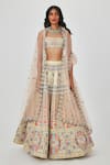 Buy_Aisha Rao_Beige Satin Embellished Soraya Applique 16 Kali Bridal Lehenga Set  _at_Aza_Fashions