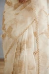 Torani_Ivory Silk Organza Hand Embroidery Dori Gul Bano Daavya Saree  _Online_at_Aza_Fashions