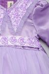 Tutus By Tutu_Purple Fabric Embroidered Placed Pattern Dress_Online_at_Aza_Fashions