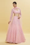 Buy_Shlok Design_Pink Net Embroidery Sequins V Neck Geometric Cutdana Lehenga Set _at_Aza_Fashions