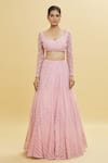 Buy_Shlok Design_Pink Net Embroidery Sequins V Neck Geometric Cutdana Lehenga Set _Online_at_Aza_Fashions