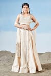 Buy_Siyona by Ankurita_Grey Semi Raw Silk Embrodiered Geometric V Blouse Lehenga Skirt Set  _at_Aza_Fashions