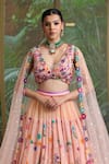 Amit Sachdeva_Peach Georgette Print Floral Plunging V Neck Flower Bloom Work Skirt With Top _Online_at_Aza_Fashions