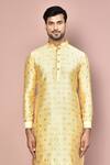 Buy_Arihant Rai Sinha_Brown Metallic Paisley Pattern Full Sleeve Kurta_Online_at_Aza_Fashions