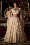 Buy_Seema Gujral_White Net Crystals, Sequins, Beads, Embroidery Sweetheart Bridal Lehenga Set _Online_at_Aza_Fashions