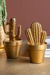 Logam_Gold Mild Steel Wired Work Metallic Cactus Table Top Accessory Set_Online_at_Aza_Fashions