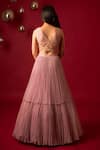 Shop_Decemberbyvivek_Pink Organza Embroidered Sequin V Neck Blouse Pleated Lehenga Set _at_Aza_Fashions