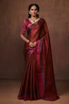 Buy_Dressfolk_Maroon Tissue Handwoven Zari Bordered Saree  _at_Aza_Fashions