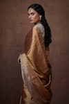 Shop_Dressfolk_Gold Tissue Zari Handwoven Saree _Online_at_Aza_Fashions