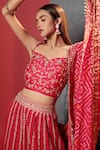 Buy_Bandhani_Pink Silk, Georgette Zari, Embroidery, Placement Zardozi Embellished Lehenga Set _Online_at_Aza_Fashions