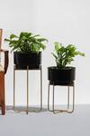 Buy_The Decor Remedy_Black Iron Enamel Planter With Stand Set Of 2_at_Aza_Fashions