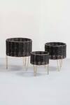 Shop_The Decor Remedy_Black Iron Theos Cane Planters Set Of 3 _at_Aza_Fashions