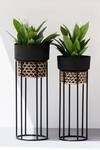 Buy The Decor Remedy Black Iron Handwork Cane Planters With Texture Set Of 2 at Aza Fashions Buy_The Decor Remedy_Black Iron Handwork Cane Planters With Texture Set Of 2_at_Aza_Fashions