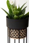 The Decor Remedy Black Iron Handwork Cane Planters With Texture Set Of 2 Online at Aza Fashions The Decor Remedy_Black Iron Handwork Cane Planters With Texture Set Of 2_Online_at_Aza_Fashions