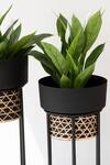 Buy The Decor Remedy Black Iron Handwork Cane Planters With Texture Set Of 2 Online at Aza Fashions Buy_The Decor Remedy_Black Iron Handwork Cane Planters With Texture Set Of 2_Online_at_Aza_Fashions