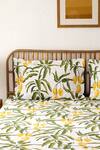 Buy_House This_Yellow 100% Cotton Printed Amra Rectangle Shaped Bedsheet Set_at_Aza_Fashions