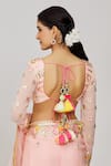 Gopi Vaid_Pink Saree Organza Embroidery Mirror Chaya Border With Blouse  _at_Aza_Fashions