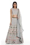 Buy_Payal Singhal_Grey Georgette Embroidery Geometric Round Neck Lehenga Set _at_Aza_Fashions