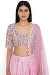 Buy_Payal Singhal_Pink Dupion Silk Printed Thread Blunt V Lehenga Embroidered Blouse Set 