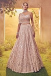 Buy_Aneesh Agarwaal_Pink Georgette Hand Embroidered Sequins Plunged Pastel Bridal Lehenga Set_at_Aza_Fashions
