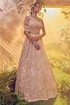 Buy_Aneesh Agarwaal_Pink Georgette Hand Embroidered Sequins Plunged Pastel Bridal Lehenga Set_Online_at_Aza_Fashions