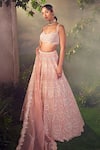 Buy_Aneesh Agarwaal_Pink Organza Hand Embroidered Thread Work Pastel Floral Bridal Lehenga Set _at_Aza_Fashions