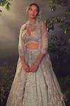Aneesh Agarwaal_Green Organza Embellished Sequin Plunged V Neck Pearl And Bridal Lehenga Set_at_Aza_Fashions