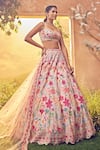 Buy_Aneesh Agarwaal_Pink Organza Embellished Sequin Scoop Neck Foliage Bridal Lehenga Set _at_Aza_Fashions