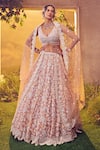 Buy_Aneesh Agarwaal_Pink Organza Embroidered Lustre Sequin Plunged V Floral Bridal Lehenga Set_at_Aza_Fashions