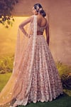 Shop_Aneesh Agarwaal_Pink Organza Embroidered Lustre Sequin Plunged V Floral Bridal Lehenga Set_at_Aza_Fashions