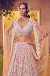 Shop_Aneesh Agarwaal_Pink Organza Embroidered Lustre Sequin Plunged V Floral Bridal Lehenga Set_Online_at_Aza_Fashions