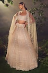 Aneesh Agarwaal_Ivory Net Embroidered Sequin And Japanese Bugle Geometric Bridal Lehenga Set _Online_at_Aza_Fashions