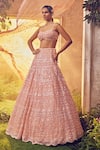 Buy_Aneesh Agarwaal_Peach Net Embroidered Sequin And Japanese Bugle Ornamental Bridal Lehenga Set _at_Aza_Fashions