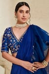 Buy_Flamingo the label_Blue Saree Chiffon Hand Embroidered Blouse Pre-draped Ruffle With Floral _Online_at_Aza_Fashions