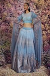 Buy_Shilpi Gupta_Blue Skirt Imported Organza Embroidered Crystals Round Welkin Blouse Set _at_Aza_Fashions