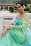 Geroo Jaipur_Green Saree Chiffon Hand-painted Feather With Unstitched Blouse _at_Aza_Fashions