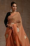 Wazir C_Orange Silk Embroidery Kashmiri Glass Shape Saree With Blouse _at_Aza_Fashions