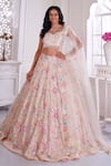 Buy_Label Priyanka Kar_Pink Net Hand Embroidered Floral Sweetheart Blouse Bridal Lehenga Set _at_Aza_Fashions