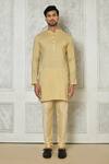 Arihant Rai Sinha_Beige Cotton Silk Printed Striped Kurta_Online_at_Aza_Fashions