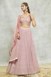 Shop_Alaya Advani_Pink Lehenga Georgette Embroidered Sequin Leaf Set