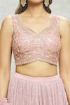 Alaya Advani_Pink Lehenga Georgette Embroidered Sequin Leaf Set _Online