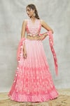 Alaya Advani_Peach Lehenga And Blouse Chinnon Embroidered Mirror V Neck Tassel Set _at_Aza_Fashions