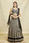 Buy_Alaya Advani_Black Lehenga Georgette Embroidered Hand Color Blocked Set 