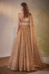 Cedar & Pine_Gold Organza Embroidered Sequin Sweetheart Floral Vine Lehenga Set _Online_at_Aza_Fashions