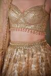 Buy_Cedar & Pine_Gold Tulle Embroidered Sequin Sweetheart Blossom Vine Lehenga Set  _Online_at_Aza_Fashions