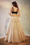 Shop_Cedar & Pine_Ivory Velvet, Organza, Tulle Pearls, Sequins, Waves Work Lehenga Blouse Set _at_Aza_Fashions