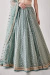 Shop_Cedar & Pine_Blue Organza Embroidered Sequin Plunge Jaal Lehenga Set  _Online_at_Aza_Fashions