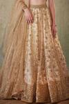 Shop_Cedar & Pine_Gold Tulle Embroidered Sequin Sweetheart Blossom Vine Lehenga Set  _Online_at_Aza_Fashions