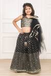 Buy_Pinkcow Designs Pvt Ltd_Black Net, Taffeta Sequins, Lace Embellished Lehenga Blouse Set _at_Aza_Fashions